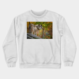 Timber Wolf Crewneck Sweatshirt